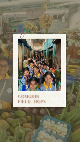 Instagram post from comorin_international_school. This post is in position 1.