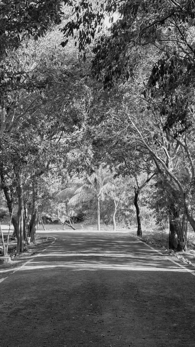 Instagram post from comorin_international_school. This post is in position 9.