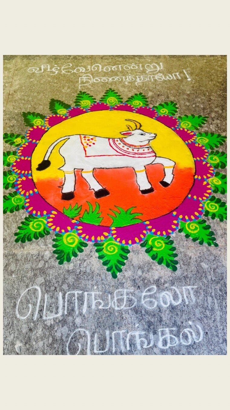 Instagram post from comorin_international_school. This post is in position 5.